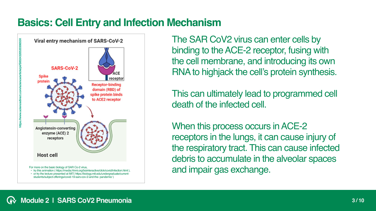 SARS CoV2 Physiology and Pneumonia slide 3
