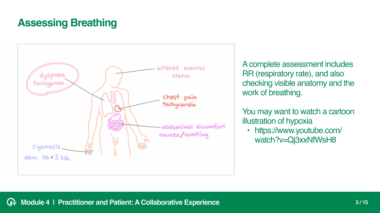 Practitioner and Patient, a collaborative experience slide 5